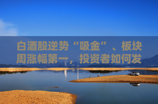 白酒股逆势“吸金”、板块周涨幅第一，投资者如何发掘舍得酒业的“质价比”