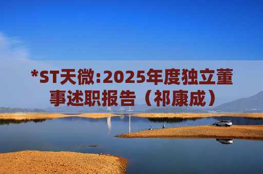*ST天微:2025年度独立董事述职报告（祁康成）