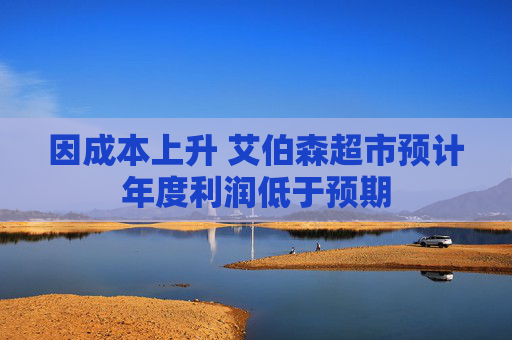 因成本上升 艾伯森超市预计年度利润低于预期  第1张