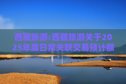 西藏旅游:西藏旅游关于2025年度日常关联交易预计额度的公告  第1张
