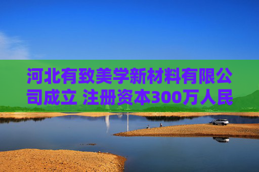 河北有致美学新材料有限公司成立 注册资本300万人民币