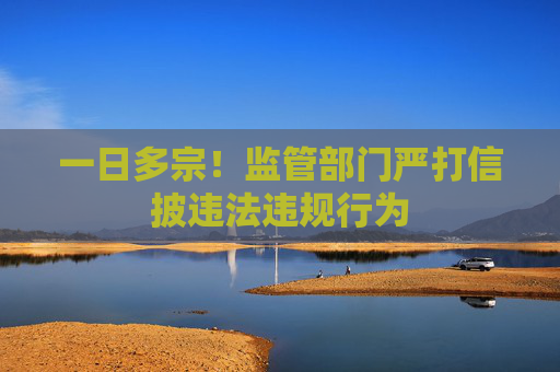 一日多宗！监管部门严打信披违法违规行为