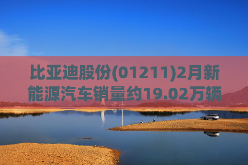 比亚迪股份(01211)2月新能源汽车销量约19.02万辆