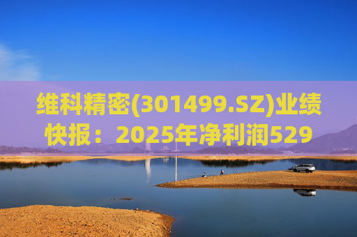 维科精密(301499.SZ)业绩快报：2025年净利润5293.82万元 同比增长16.85%