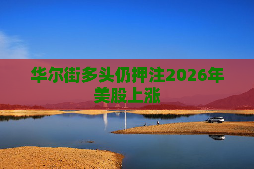 华尔街多头仍押注2026年美股上涨
