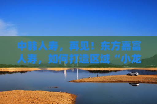 中韩人寿，再见！东方嘉富人寿，如何打造区域“小龙”？  第1张