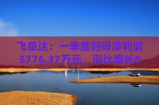 飞荣达：一季度归母净利润5776.37万元，同比增长85.57%
