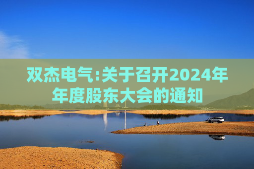 双杰电气:关于召开2024年年度股东大会的通知