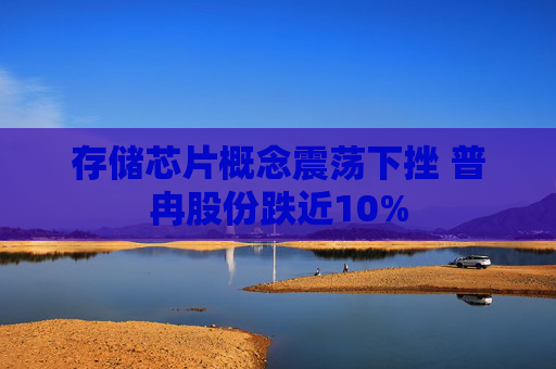 存储芯片概念震荡下挫 普冉股份跌近10%