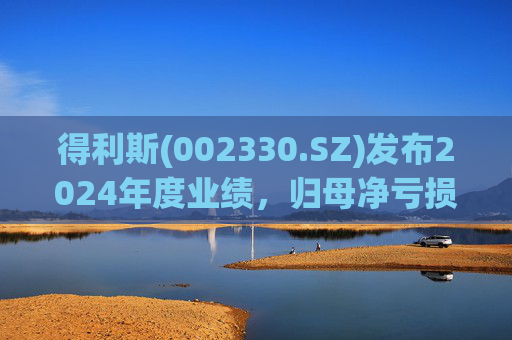 得利斯(002330.SZ)发布2024年度业绩，归母净亏损3367万元  第1张