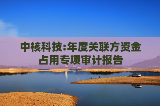中核科技:年度关联方资金占用专项审计报告