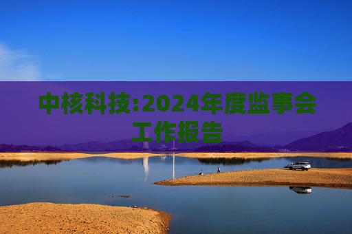 中核科技:2024年度监事会工作报告