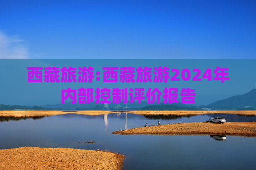 西藏旅游:西藏旅游2024年内部控制评价报告