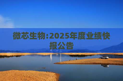 微芯生物:2025年度业绩快报公告