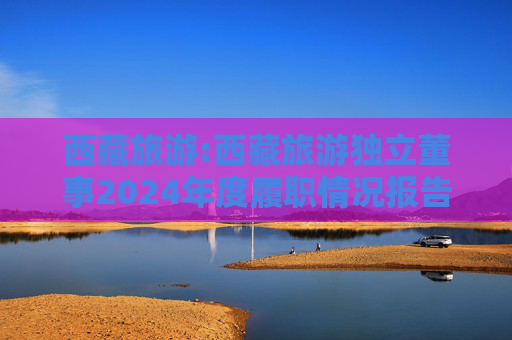 西藏旅游:西藏旅游独立董事2024年度履职情况报告（高金波）  第1张