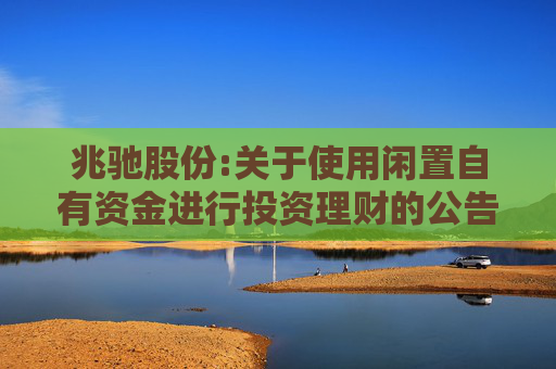 兆驰股份:关于使用闲置自有资金进行投资理财的公告
