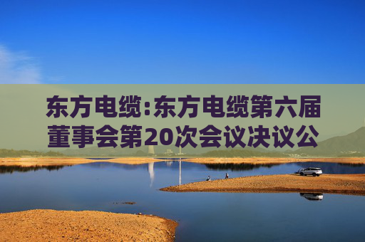 东方电缆:东方电缆第六届董事会第20次会议决议公告