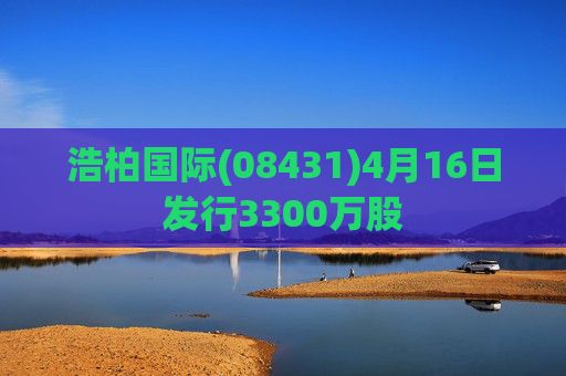 浩柏国际(08431)4月16日发行3300万股