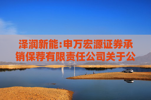 泽润新能:申万宏源证券承销保荐有限责任公司关于公司首次公开发行股票并在创业板上市的发行保荐书
