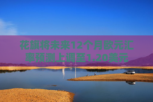 花旗将未来12个月欧元汇率预测上调至1.20美元