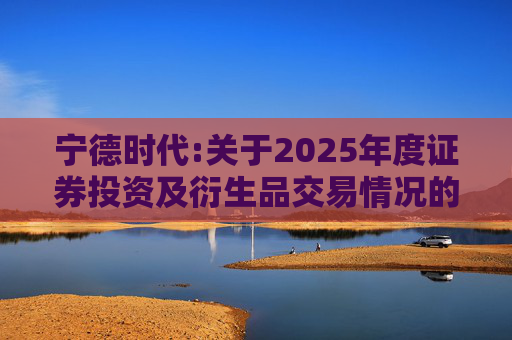 宁德时代:关于2025年度证券投资及衍生品交易情况的专项说明