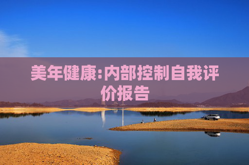 美年健康:内部控制自我评价报告