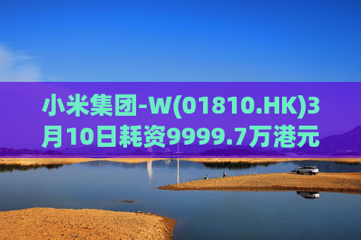 小米集团-W(01810.HK)3月10日耗资9999.7万港元回购297.7万股