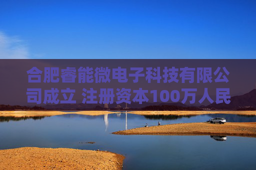 合肥睿能微电子科技有限公司成立 注册资本100万人民币