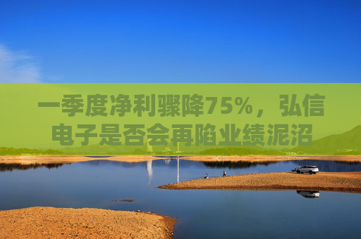 一季度净利骤降75%，弘信电子是否会再陷业绩泥沼  第1张
