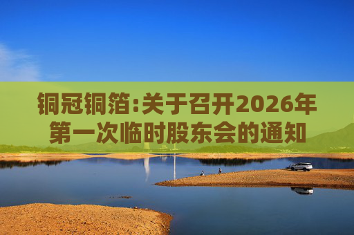 铜冠铜箔:关于召开2026年第一次临时股东会的通知