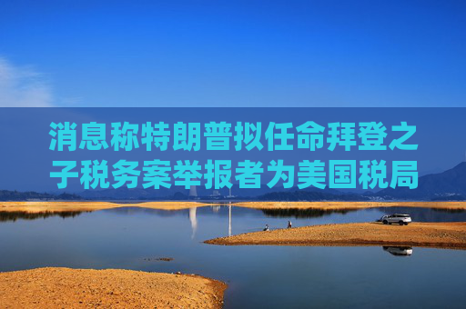消息称特朗普拟任命拜登之子税务案举报者为美国税局代理局长