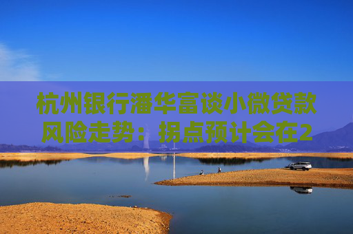 杭州银行潘华富谈小微贷款风险走势：拐点预计会在2025年四季度后开始出现