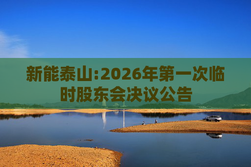 新能泰山:2026年第一次临时股东会决议公告