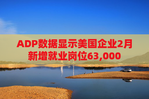 ADP数据显示美国企业2月新增就业岗位63,000
