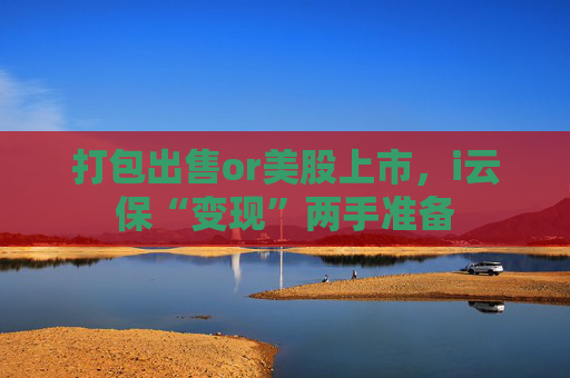 打包出售or美股上市，i云保“变现”两手准备