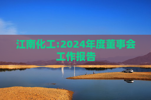 江南化工:2024年度董事会工作报告