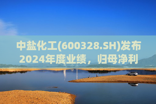 中盐化工(600328.SH)发布2024年度业绩，归母净利润5.19亿元，同比下降56.32%  第1张