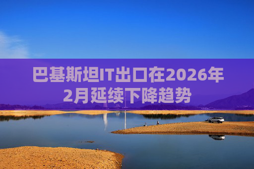 巴基斯坦IT出口在2026年2月延续下降趋势
