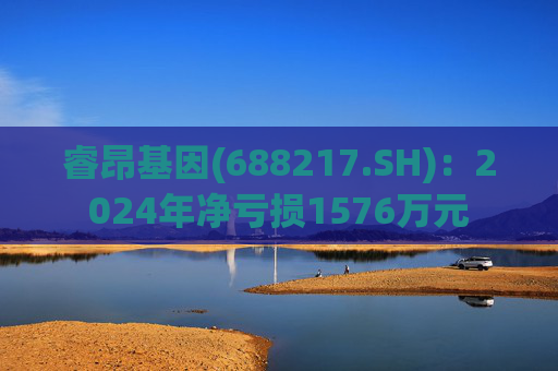 睿昂基因(688217.SH)：2024年净亏损1576万元