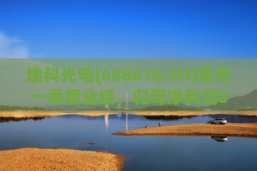 埃科光电(688610.SH)发布一季度业绩，归母净利润862万元，同比下降5.94%