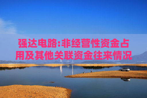 强达电路:非经营性资金占用及其他关联资金往来情况专项说明