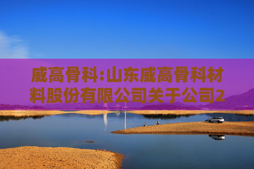威高骨科:山东威高骨科材料股份有限公司关于公司2024年度利润分配预案的公告