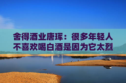 舍得酒业唐珲：很多年轻人不喜欢喝白酒是因为它太烈了，舍得把白酒做到29度仍然有白酒的味道