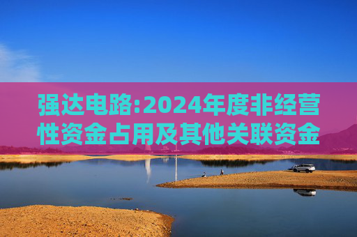 强达电路:2024年度非经营性资金占用及其他关联资金往来情况汇总表