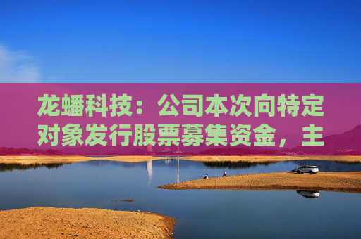 龙蟠科技：公司本次向特定对象发行股票募集资金，主要用于高性能磷酸盐型正极材料项目建设及补充流动资金