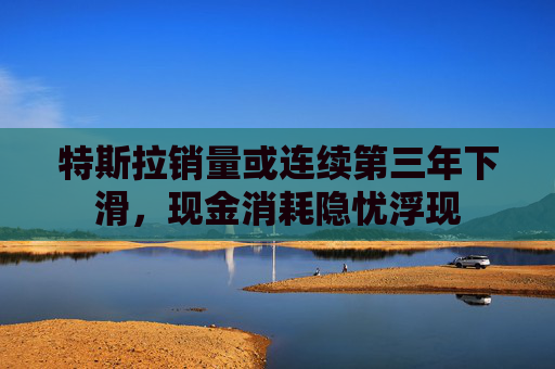 特斯拉销量或连续第三年下滑，现金消耗隐忧浮现