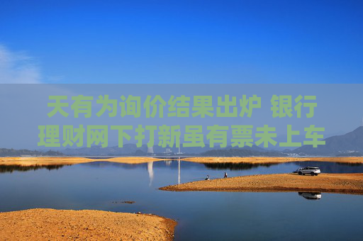 天有为询价结果出炉 银行理财网下打新虽有票未上车