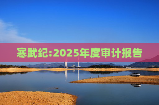 寒武纪:2025年度审计报告