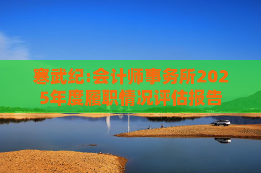寒武纪:会计师事务所2025年度履职情况评估报告