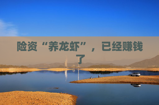 险资“养龙虾”，已经赚钱了